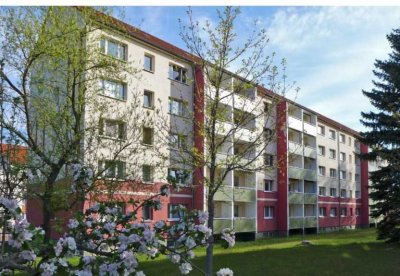 Gemütlich Wohnen - mit Wanne und Fenster im Bad
