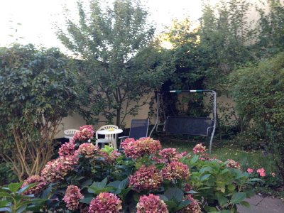 Sonnige, ruhige 2-Zimmer-Wohnung zur Miete in Kassel