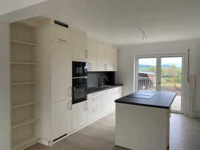 Tolle neu renovierte 4-Zimmer Wohnung mit Gartennutzung in Bischberg