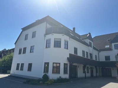 Helle renovierte großzügige Wohnung - auch gewerblich oder gemischt nutzbar!