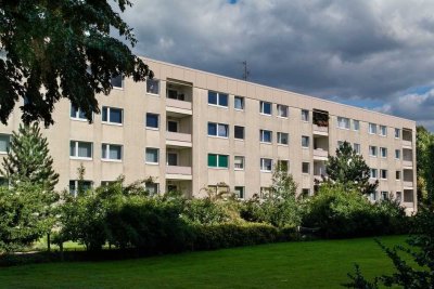 Stilvoll wohnen in Detmerode: Frisch modernisierte 3-Zimmer-Wohnung