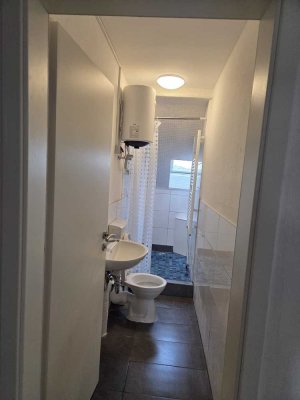 Freundliche und vollständig renovierte 2-Raum-DG-Wohnung mit EBK in Ludwigshafen am Rhein
