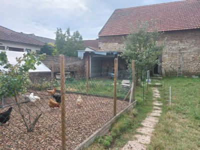 Geräumiges, günstiges 7-Raum-Einfamilienhaus mit gehobener Innenausstattung in Ockenheim