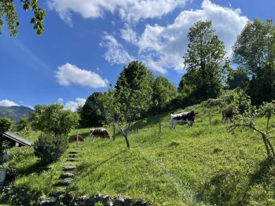Neu renovierte 2,5-Zimmer-Dachgeschosswohnung mit Balkon in Bad Feilnbach.