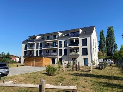 1 Monat kaltmietfrei - Moderne 2-Zimmer-Wohnung mit EBK am Kulkwitzer See in Leipzig