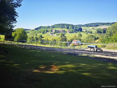 Anwesen mit 3 Wohnungen, 12 Pferdeboxen und ca. 2,95 ha Grund - sehr gepflegt - Nähe Schönberg - zus