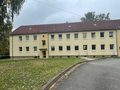 Renovierte 2 Zimmer Wohnung auch über Jobcenter möglich, zu vermieten