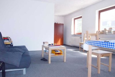 Studieren in Heidelberg - Wohnen in HD-Handschuhsheim - Laminat (Vinyl)-  Nur an Studenten/-in
