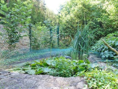 Für Naturliebhaber! Gartenparadies mit zauberhaftem Wohnhaus