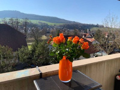 Geschmackvolle 4 Zimmer-Wohnung mit luxuriöser Innenausstattung mit EBK in Merzhausen Freiburg