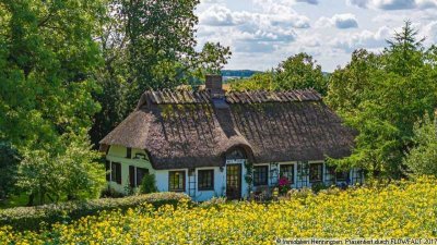 Reetkate mit eigenem Wald- echte Alleinlage- Ostsee 4km