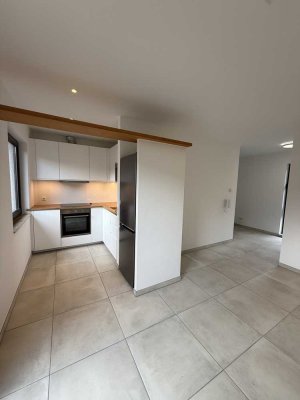 Frisch saniertes großes 1-Zimmer-Apartment mit Terrasse und EBK