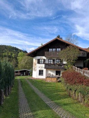 renovierte Eigentumswohnung mit Gartenanteil und Blockhütte in Bodenmais