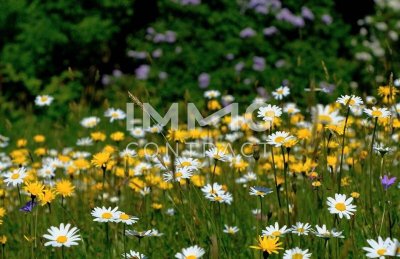 Ideal für Anlager: Urbane 2-Zimmer Wohnung Nähe der Traunauen - provisionsfrei!