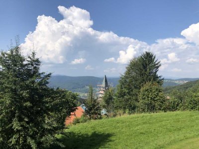Renoviertes 1 Zi. Apartment mit traumhaftem Ausblick