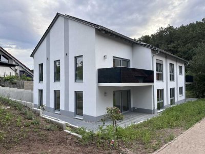 3-Z-Wohnung mit EBK  in Toplage in Queidersbach