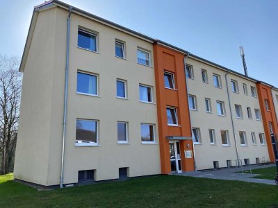 Renovierte 3-Zimmer-Wohnung mit Balkon