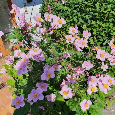 Helle, sonnige und ruhige 3-Zimmer Wohnung mit Westbalkon in  Weilheim/Oberbayern
