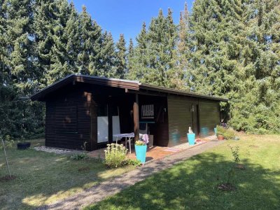 Ferienhaus - Holzhaus in idyllischer Naturlage im Pfälzer Wald