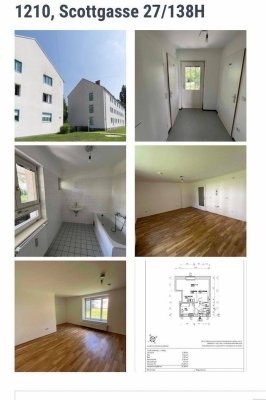 WIENER WOHNTICKET ruhige Gemeindewohnung (1 Zimmer) in 1210 Wien – EG – Ablöse 2.700 € VB
