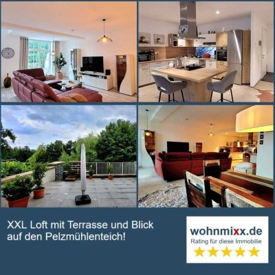 Top Loft mit Terrasse und Blick auf den Pelzmühlenteich!