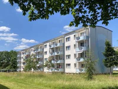 Sanierte 2-Raum-Wohnung in ruhiger und grüner Lage