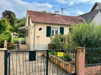 2-Zimmer-Wohnung im "Tiny-Haus" in Dossenheim
