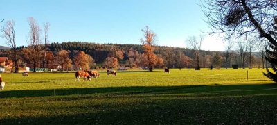 Einfamilienhaus mit 4 Zimmern und Carport in Gmund am Tegernsee