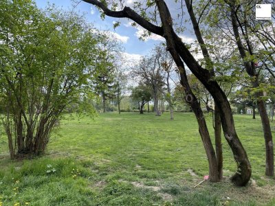 Beautiful and furnished 107 m² 4 room apartment with terracce for rent in 1210 Vienna located directly at the Obere Alte Donau!