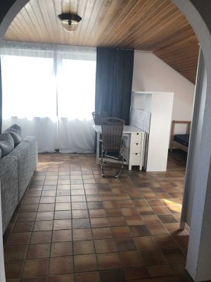 Helles geräumiges Appartement mit Balkon