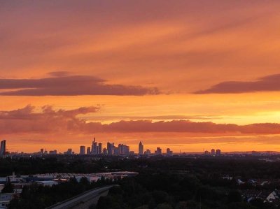 Penthouse-Wohnung - super Skyline-Blick - Blick ins Grüne