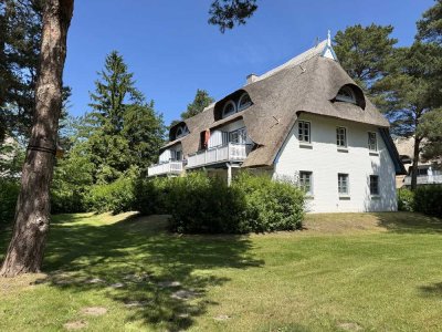 Maisonette-Ferienwohnung, gleich hinterm Ostseedeich