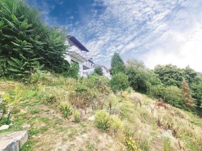Selters (Ts): Besondere Immobilie ( Wohnraumwunder)  mit Fernblick und schönem Terrassengrundstück