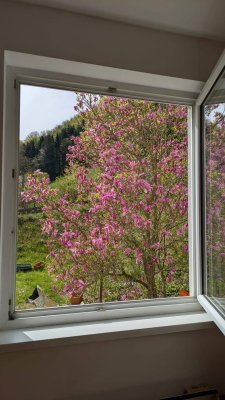 ruhige Genossenschaftswohnung mit Blick auf den Wald