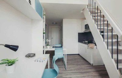 Nachmieter für helle 1-Zimmer Maisonette Wohnung in Dresden-Neustadt gesucht