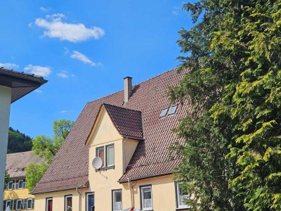 Von privat: Ruhige kernsanierte 2-Zimmer-DG-Altbauwohnung in Calw Hirsau an der Nagold