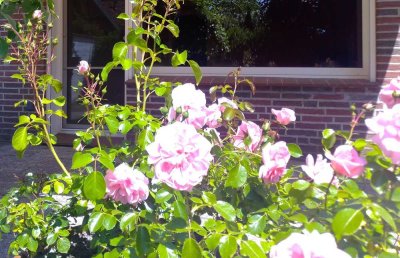 Großzügige 4-Zimmer Wohnung mit Terrasse