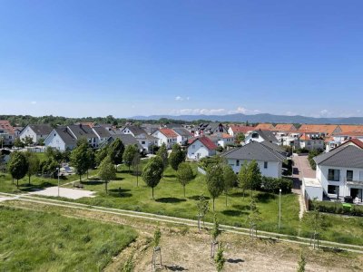 TRAUMBLICK ZUM HAARDTRAND