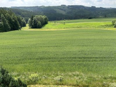 Penthouse-Wohnung - Wohnen Sie im Naturblick ;-)