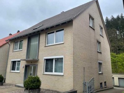 2 Häuser in Grünenplan mit schönem Grundstück