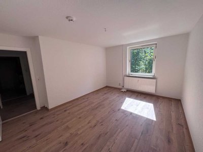 Frisch renovierte Erdgeschosswohnung in Salzgitter Thiede