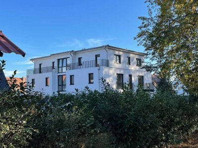3 Zimmer Wohnung mit Balkon in Verden (Aller) zur Miete
