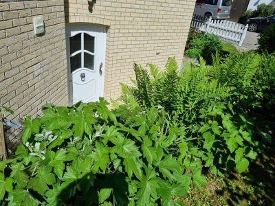 3.5 Zimmerwohnung mit EBK, Terrasse und Gartenanteil
