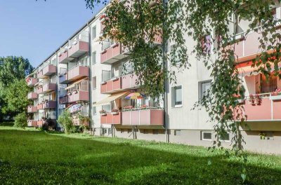 In hektischen Zeiten ein ruhiges Zuhause- Steinwiese
