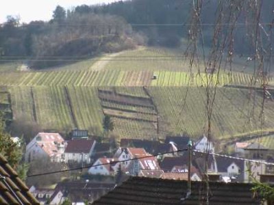 Schöne, lichtdurchflutete  1-Zimmer- Single-Wohnung mit Balkon am Ortsrand von Stetten