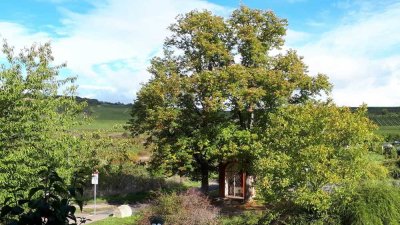 Vollständig renovierte 3-Raum-EG-Wohnung in Bingen-Büdesheim
