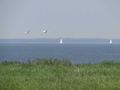 Seebad Einfamilienhaus zwischen Ostsee-Lagune und Ueckermünder Heide