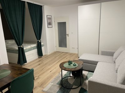 Möbliertes Apartment mit Balkon zur Miete