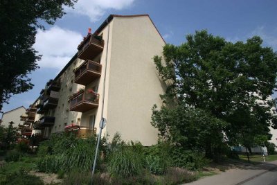 Renovierte 2-Raum Wohnung im Grünen