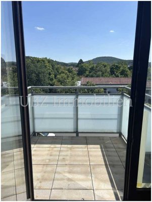 ***  2-Zimmer DG Wohnung mit  Balkon und tollem Blick ***